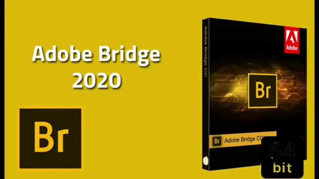 Adobe CC2020全套软件分享插图6